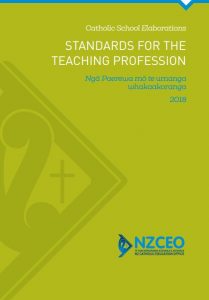 Professional Standards full cover page