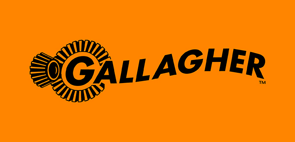 Gallagher Security