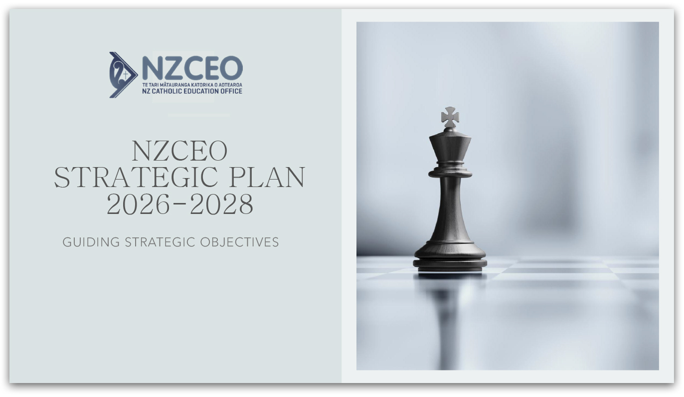 NZCEO Strategic Intent document